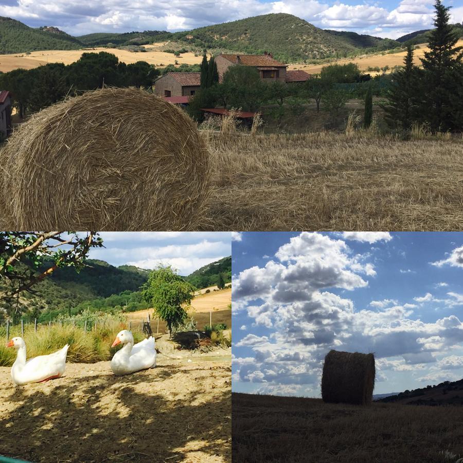 Farm stay Santa Maria